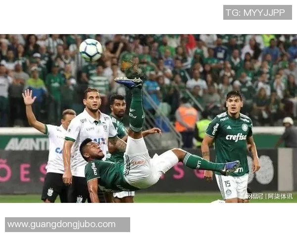 博塔弗戈与亚松森的激烈对决谁将赢得这场南美足球盛宴