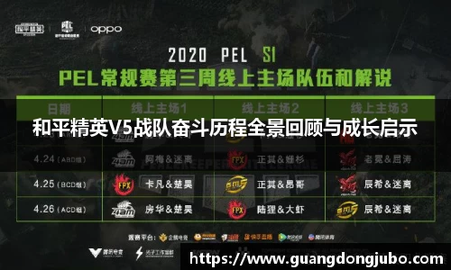 和平精英V5战队奋斗历程全景回顾与成长启示