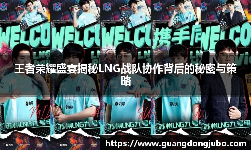 王者荣耀盛宴揭秘LNG战队协作背后的秘密与策略