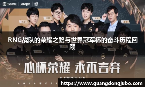 RNG战队的荣耀之路与世界冠军杯的奋斗历程回顾
