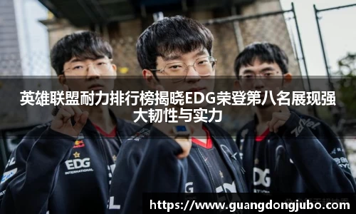英雄联盟耐力排行榜揭晓EDG荣登第八名展现强大韧性与实力