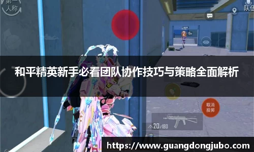 和平精英新手必看团队协作技巧与策略全面解析