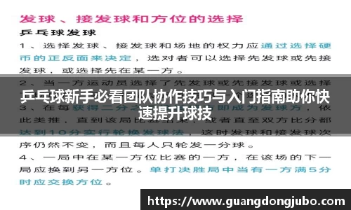 乒乓球新手必看团队协作技巧与入门指南助你快速提升球技