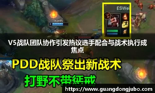 V5战队团队协作引发热议选手配合与战术执行成焦点