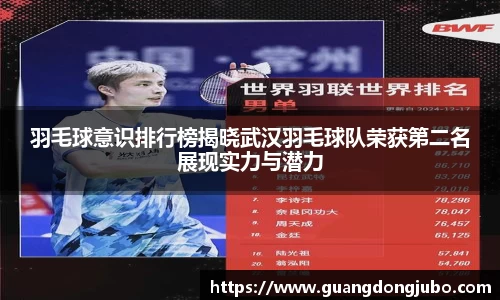 羽毛球意识排行榜揭晓武汉羽毛球队荣获第二名展现实力与潜力